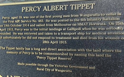 The Tippet family and World War One